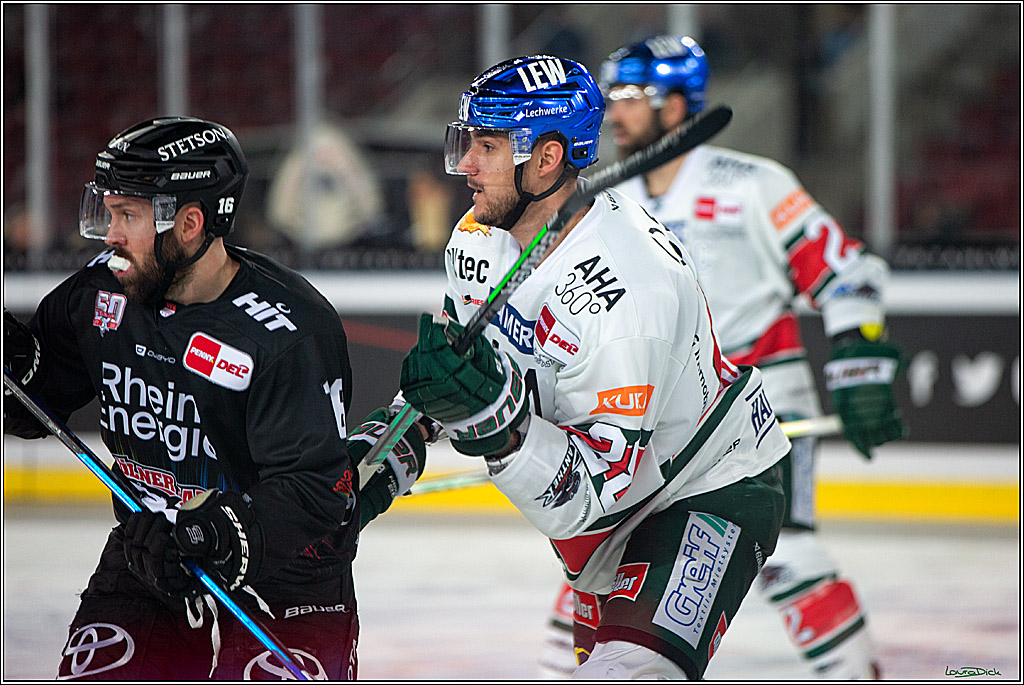 PENNY DEL; Koelner Haie- Augsburger Panther; Koeln, 08.01.2023